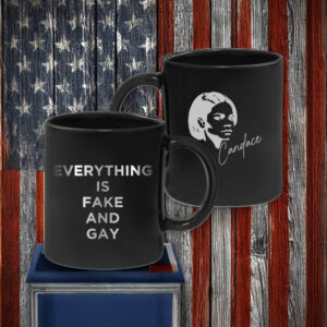 EVERYTHING Is Fake And Gay Mug